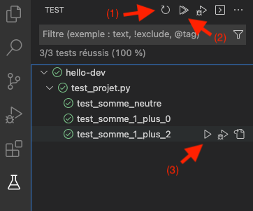 vsc-pytest-erlenmeyer