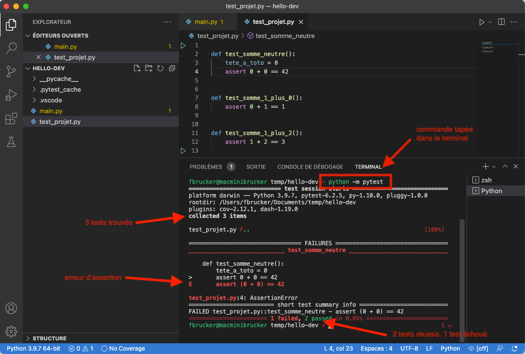 vsc-pytest