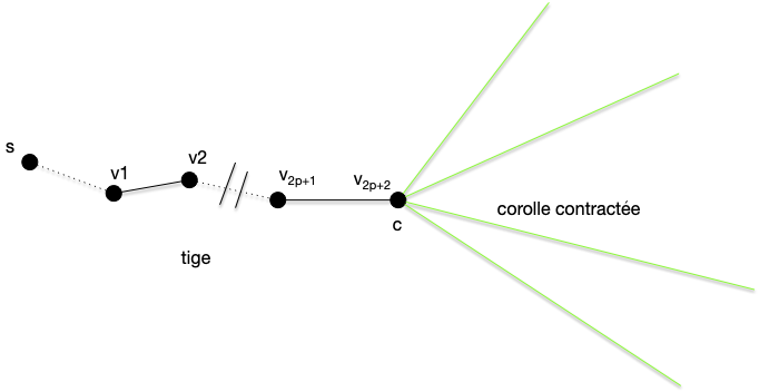 contraction fleur 2