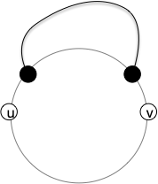 oreille externe