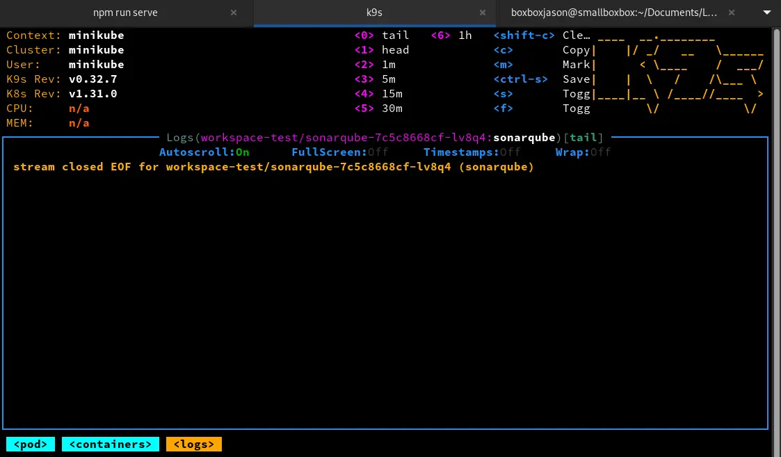 Logs pod SonarQube